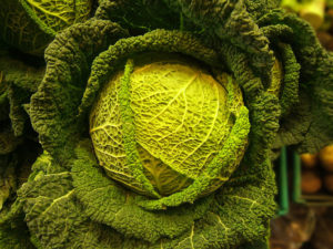 Savoy Cabbage Appearance